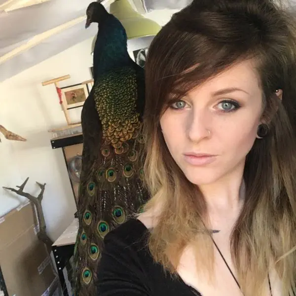Suffolk Taxidermist
