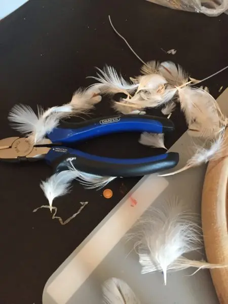 Taxidermy Bird Repair