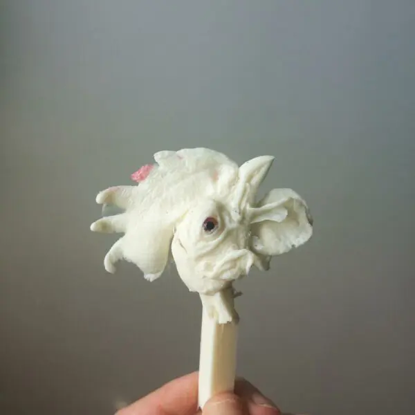 Resin Cast of a Chicken Head for Taxidermy