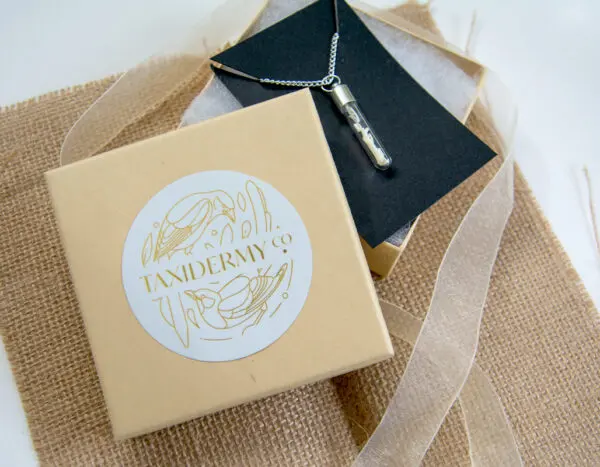 Real Bone Jewellery Unique Gift