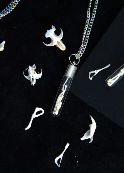 Real Owl Pellet Bone Jewellery
