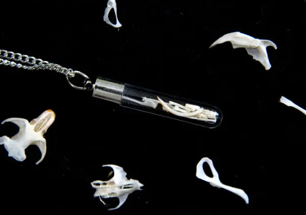 Real Owl Pellet Bone Jewellery