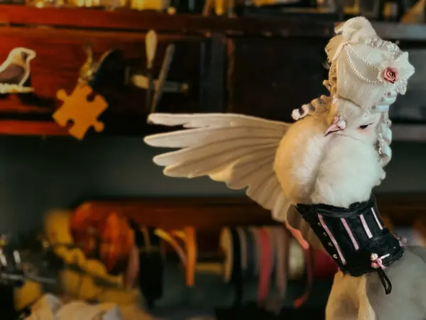Realistic-Needle-Felted-Animals-White-Dove-