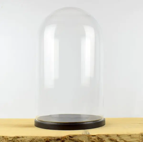 Best Places to find Glass domes for Taxidermy in the UK