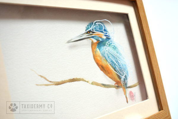 Kingfisher Bird Painting