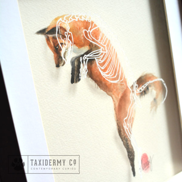 Fox skeleton Painting