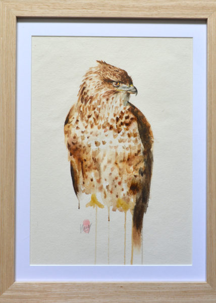 Buzzard Wildlife Watercolour Painting