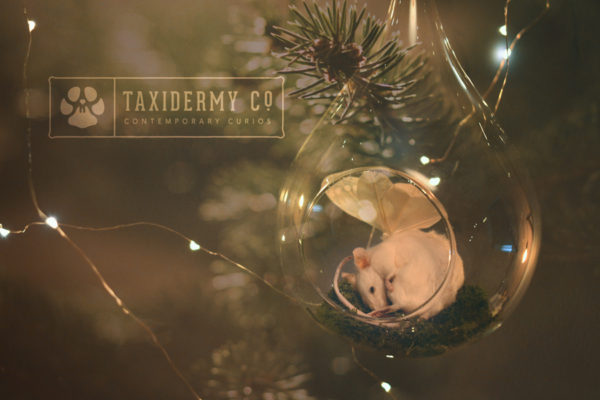 Christmas Taxidermy Mouse Decoration