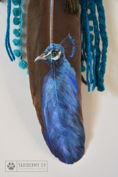 Peacock Feather Dreamcatcher