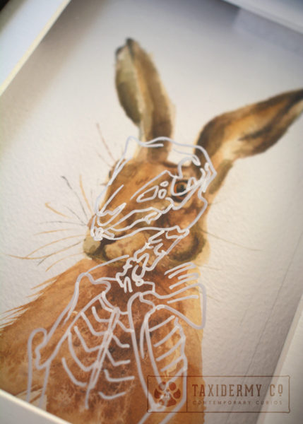 Hare-Skeleton-Wildlife Art