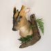 Taxidermy Muntjac Deer