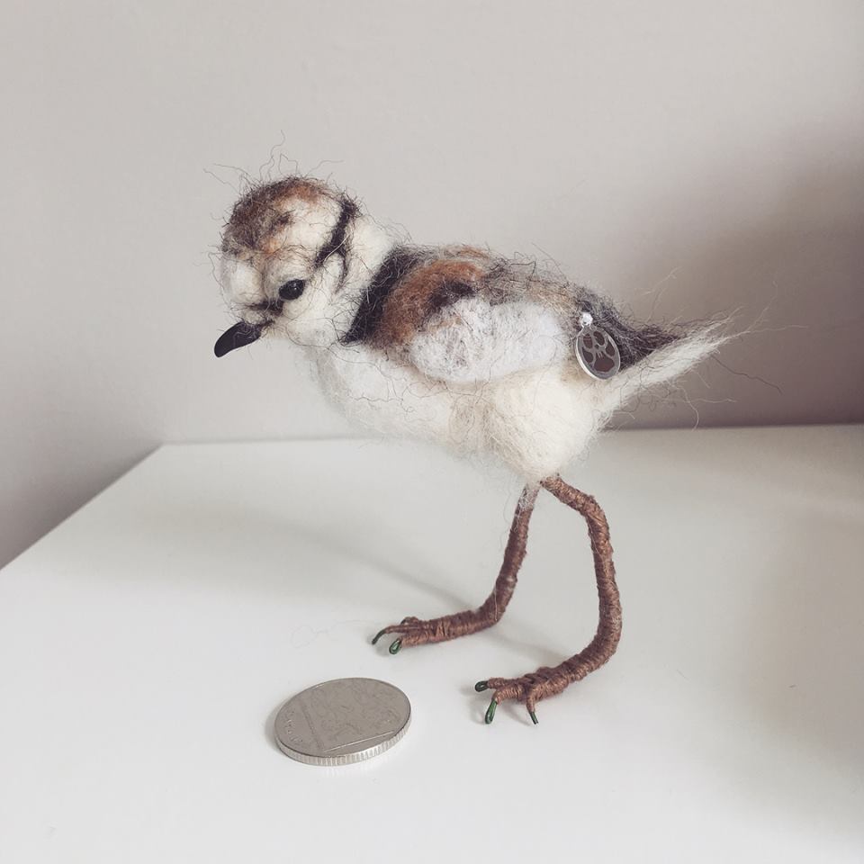 Photo of a needle felted wader chick