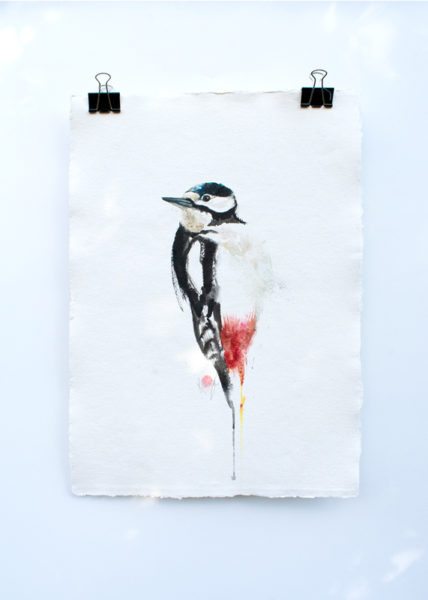 Great Spotted Woodpecker Painting