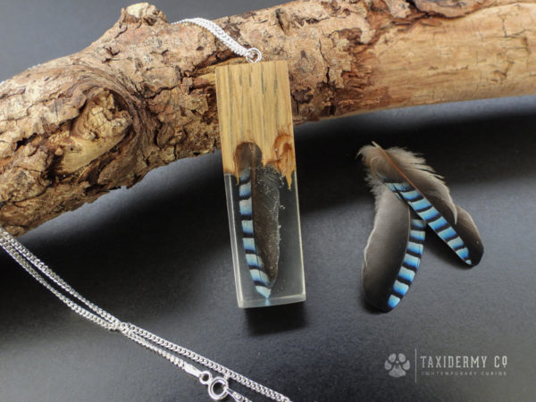 Resin and wood feather necklace taxidermy