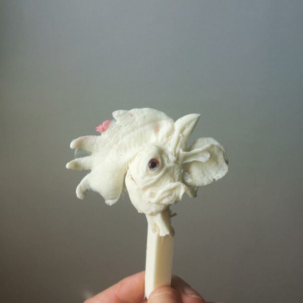 Resin Cast of a Chicken Head for Taxidermy
