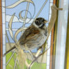 Small Bird Taxidermy Art of A Reed Bunting with embellished glass case