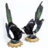 Pair-of-taxidermy-magpies
