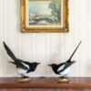 a par of taxidermy magpies two for joy