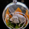 Taxidermy-Fairy-Mouse-Christmas