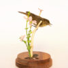 Taxidermy chiffchaff (Phylloscopus collybita) in dome for sale