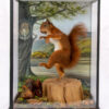 Taxidermy Red Squirrel Inspired By Squirrel Nutkin Beatrix Potter