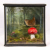 Taxidermy Wren For Sale In Glass Case With Painted Background