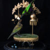 Fine Taxidermy Art Emerald Starlings Birds